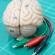 Illustration for article titled Why DIY Brain Stimulation Is a Really Dumb Idea